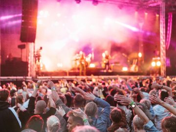 Yleisöä konsertissa